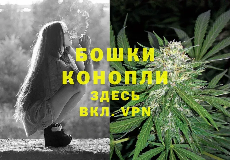 где купить наркоту  mega вход  Бошки марихуана THC 21%  Калтан 